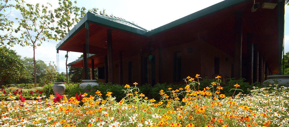 Grand & Gangula Hotel Dambulla Buitenkant foto
